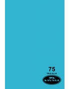Savage Savage 75 True Blue  53"