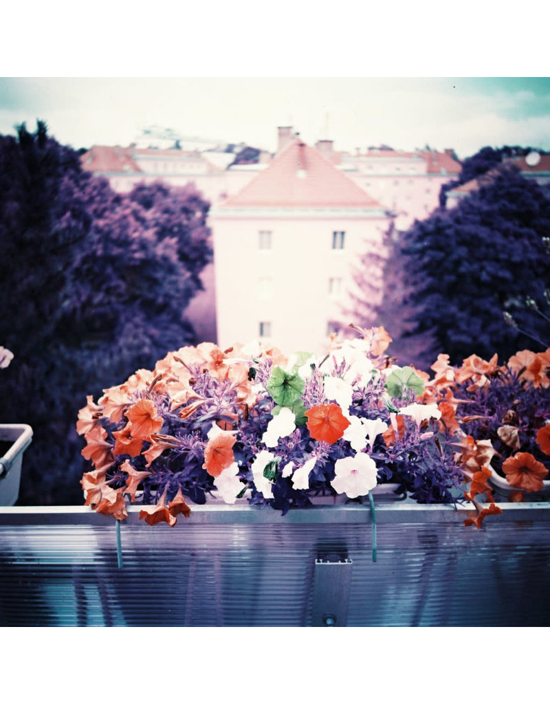 Lomography Lomo Chrome Purple XR 100-400 120 Film