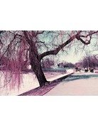Lomography Lomo Chrome Purple XR 100-400 35mm Film 36 Exposures