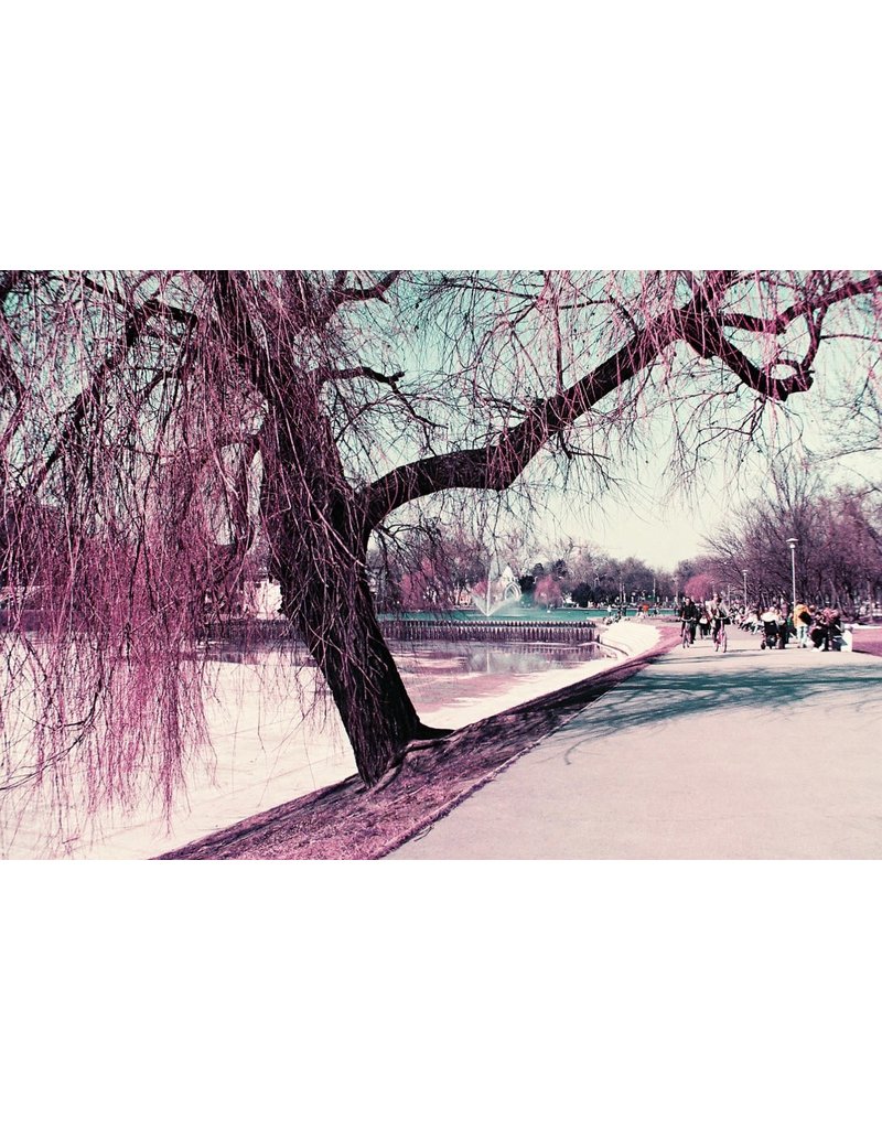Lomography Lomo Chrome Purple XR 100-400 35mm Film 36 Exposures