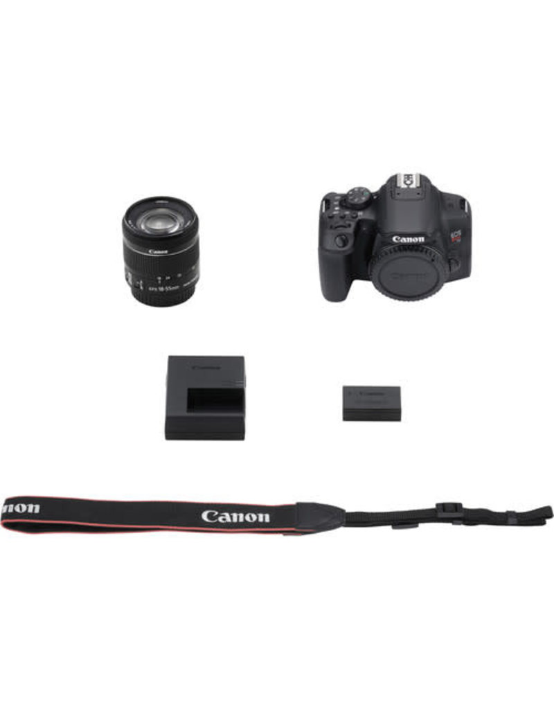 Canon Canon EOS Rebel T8i With 18-55mm IS STM