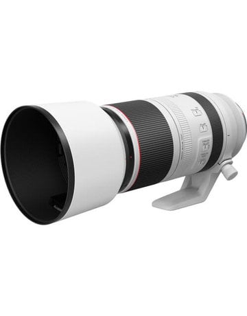 Canon Canon RF 100-500mm F/4.5-7.1L IS USM