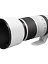 Canon Canon RF 100-500mm F/4.5-7.1L IS USM