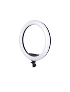Promaster Specialist R19RGB 19" LED Ringlight