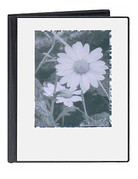 Pioneer Hard 4X6 Album HC-146F Flower Holds 36 Images