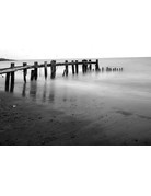 Film Photography Project FPP Super Positive Black and White Film (35mm Roll Film, 24 Exposures)