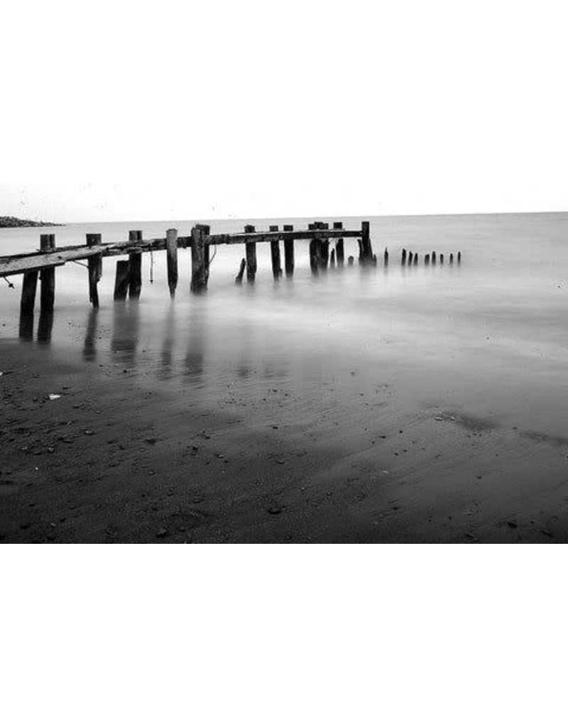 Film Photography Project FPP Super Positive Black and White Film (35mm Roll Film, 24 Exposures)