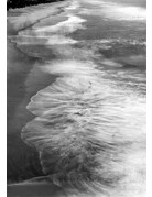 Film Photography Project FPP Super Positive Black and White Film (35mm Roll Film, 24 Exposures)