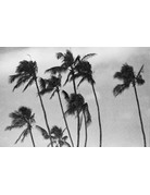 Revolog REVOLOG PAPER 400 35MM BLACK AND WHITE FILM (36 EXPOSURES)