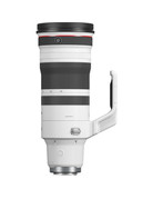 Canon Canon RF 100-300mm f/2.8 L IS USM Lens