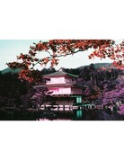 Lomography Lomo Chrome Purple XR 100-400 35mm Film 36 Exposures
