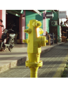 Candido Candido 400 C-41 Color Negative Film (35mm Roll Film, 36 Exposures)