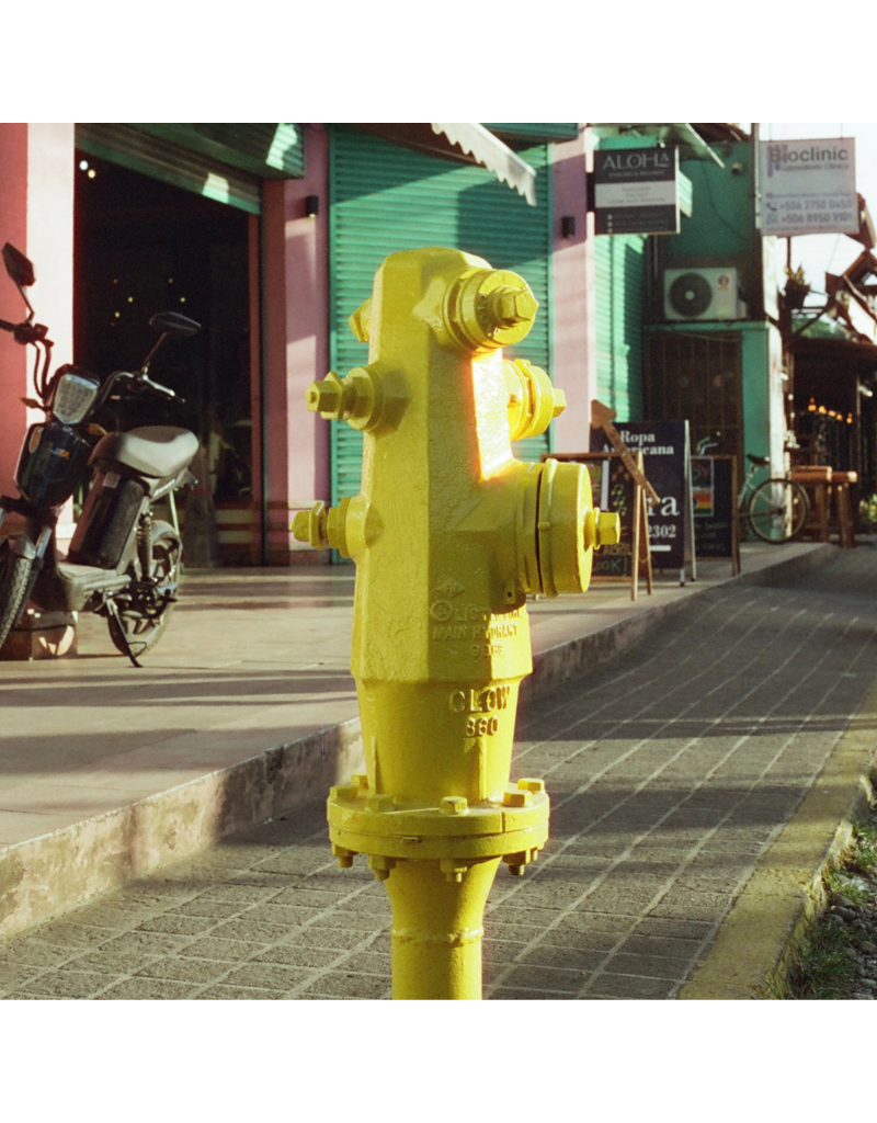 Candido Candido 400 C-41 Color Negative Film (35mm Roll Film, 36 Exposures)