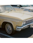 Candido Candido 400 C-41 Color Negative Film (35mm Roll Film, 36 Exposures)