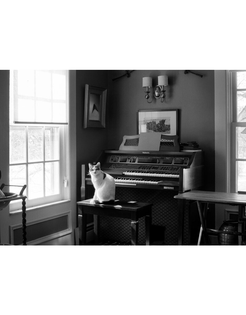 Ferrania Ferrania Orto 50 Black and White (120mm Roll Film)