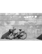 Ferrania Ferrania Orto 50 Black and White (120mm Roll Film)