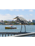 Join us for a Downtown Long Beach Photo Walk.  All are welcome