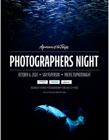 Photographers Night At The Aquarium 2024