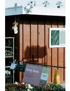 CineMot Film CineMot Film Santa Cruz  200D 35mm Color Film 36 Exposure