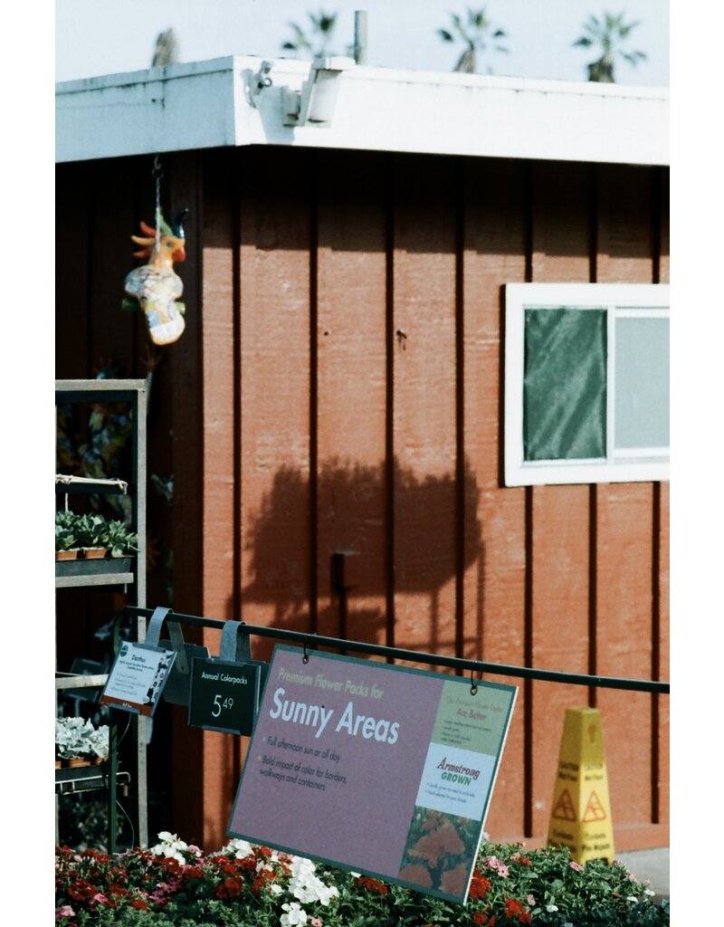 CineMot Film CineMot Film Santa Cruz  200D 35mm Color Film 36 Exposure