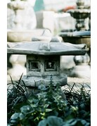 CineMot Film CineMot Film Santa Cruz  200D 35mm Color Film 36 Exposure