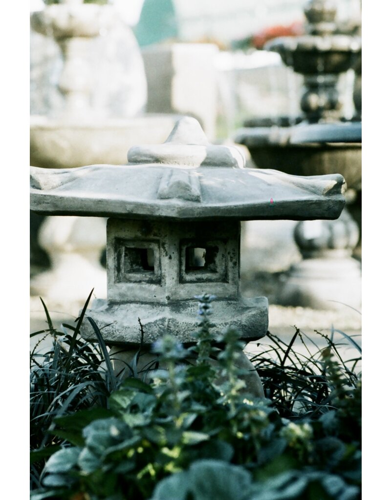 CineMot Film CineMot Film Santa Cruz  200D 35mm Color Film 36 Exposure