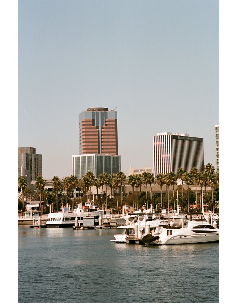 Film Photography Project FPP Color 125 ISO 35mm Film 24 Exposures