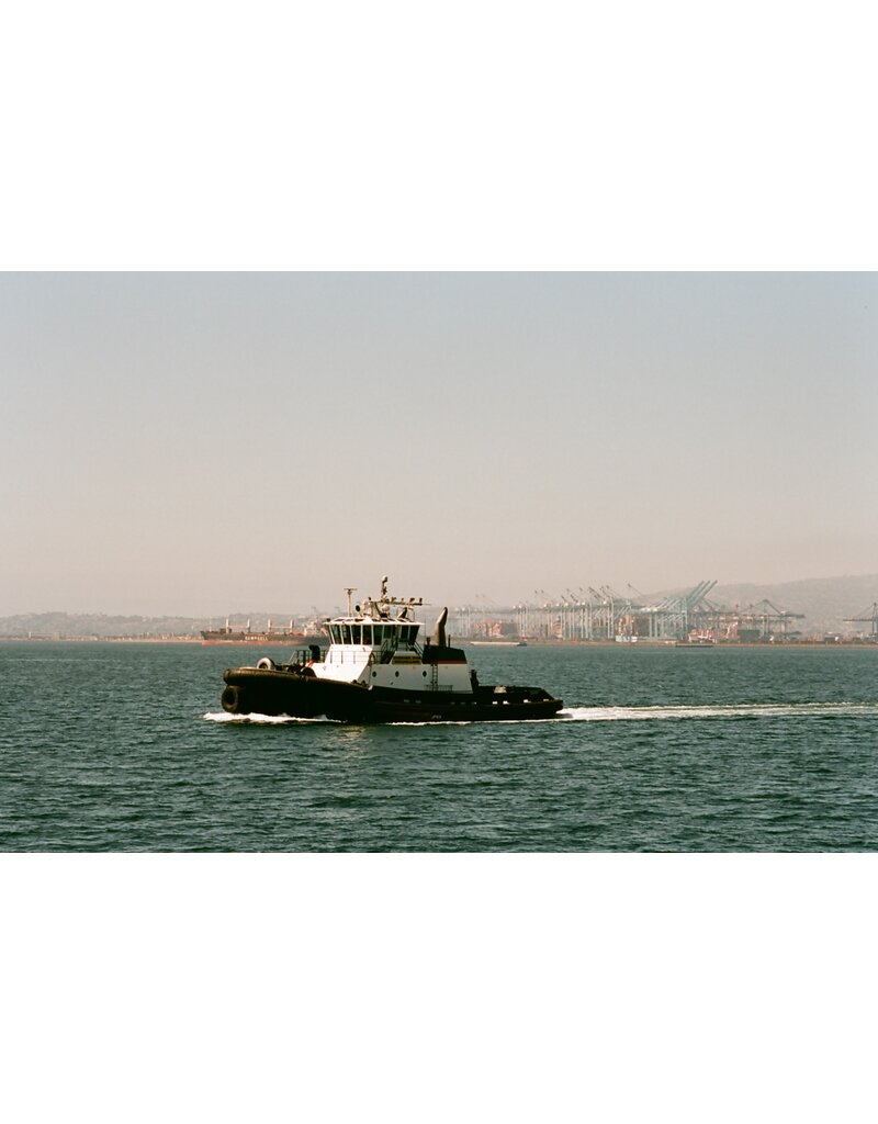Film Photography Project FPP Color 125 ISO 35mm Film 24 Exposures