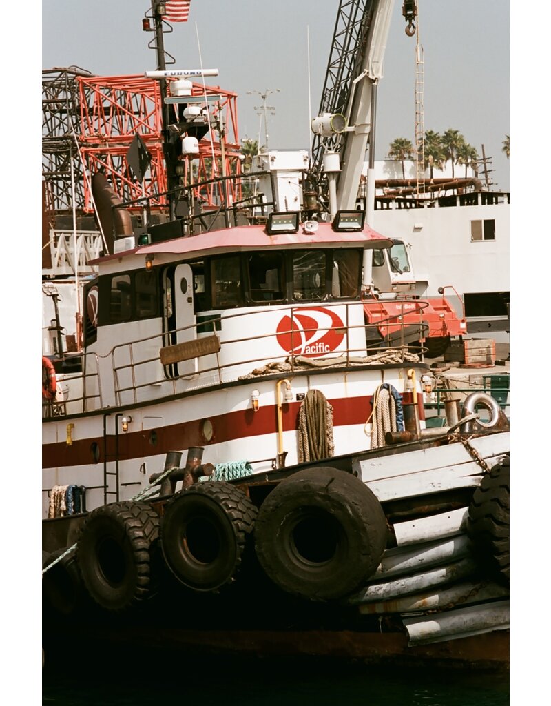 Film Photography Project FPP Color 125 ISO 35mm Film 24 Exposures