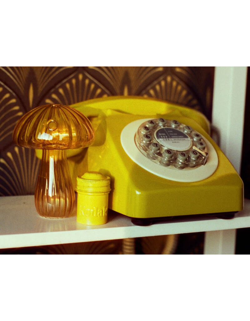 Mr. Negative Mr Negative DayLIGHT Robbery - 35mm Film, 400 ISO, 36 Exposure