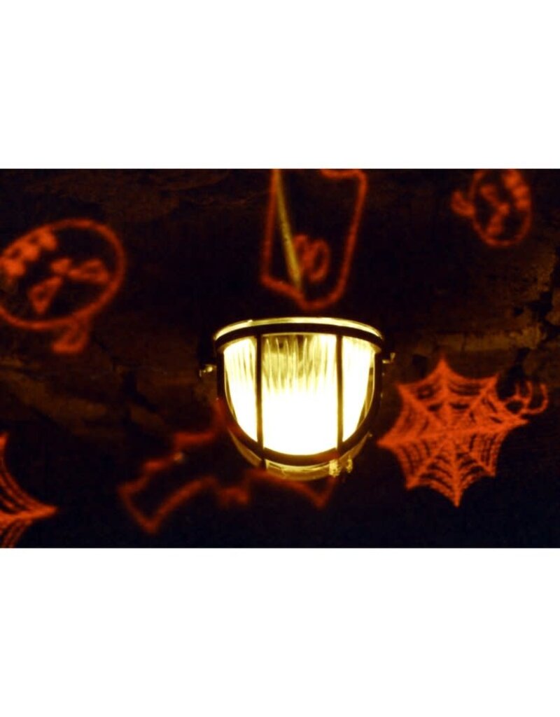 KONO! KONO! BOO! ISO 200 35mm x 24 exp. Halloween Special Horror Film - Color Film