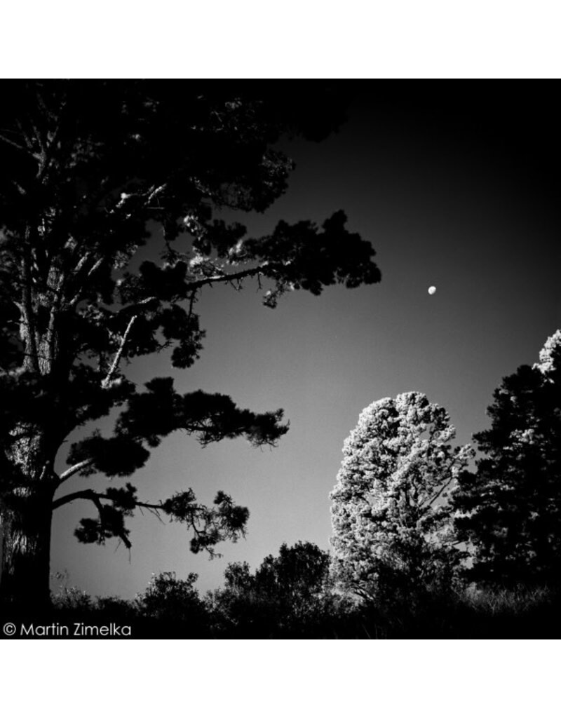 Rollei Rollei Black & White  Infrared 400 ISO 120 Size