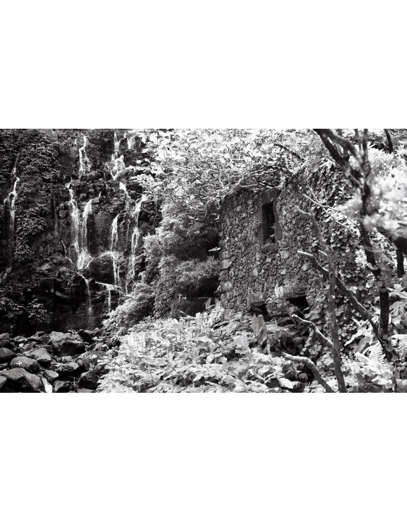 Film Washi Film Washi "Z" 400 ISO 35mm Black & White Near Infrared Film 24 Exposure