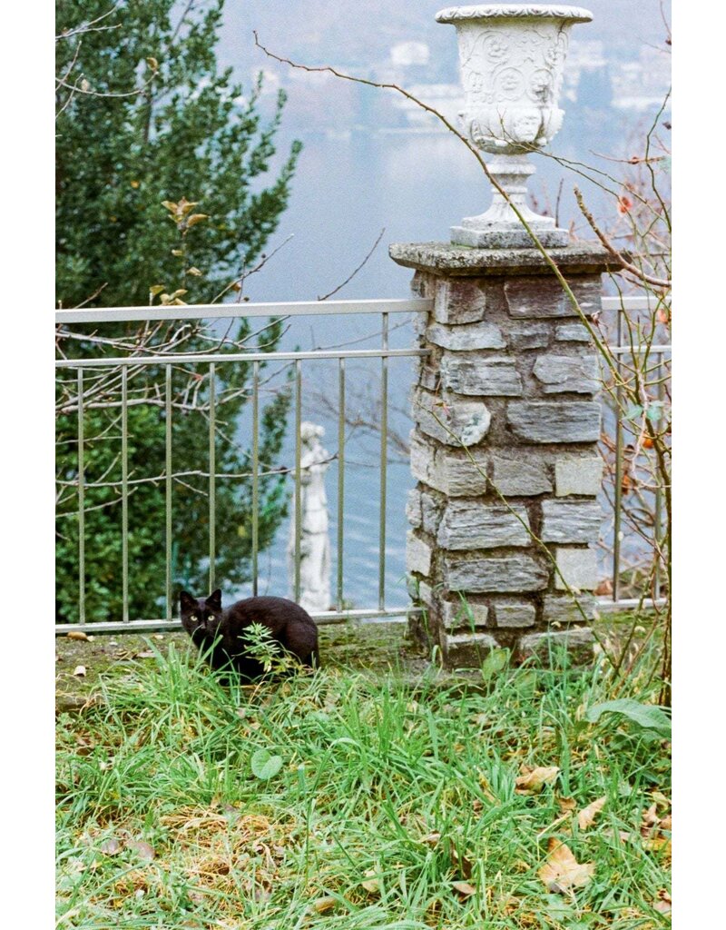 Flic Film Flic Film Apollo 18 400 18 Exposure