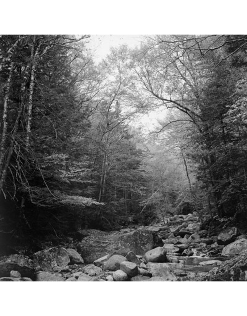 Film Photography Project FPP Mummy 120 B&W NEGATIVE FILM 400 ISO Single Roll