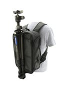 BEVISGEAR BEVISGEAR Top Shelf Digital SLR Camera Backpack (Black)