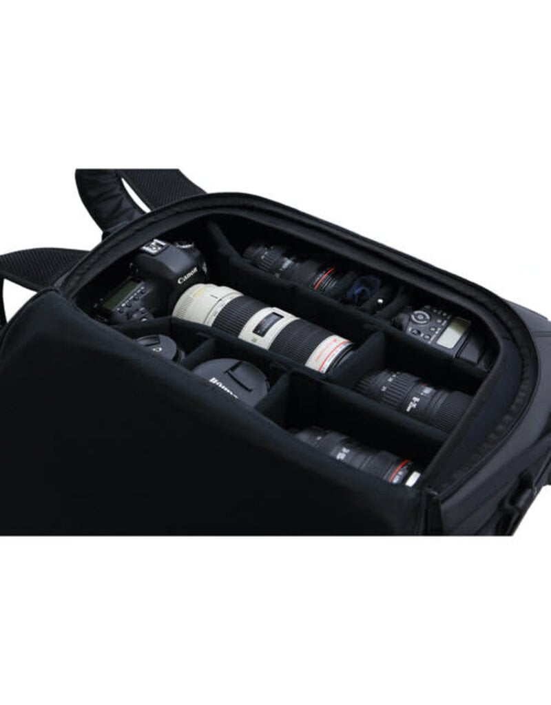 BEVISGEAR BEVISGEAR Top Shelf Digital SLR Camera Backpack (Black)