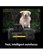 Nikon Nikon Z5 II Mirrorless Camera
