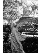 Kentmere Kentmere Pan 200 Black & White Negative Film (120 Roll Film)