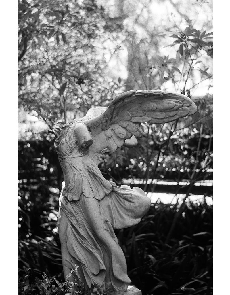 Kentmere Kentmere Pan 200 Black & White Negative Film (120 Roll Film)