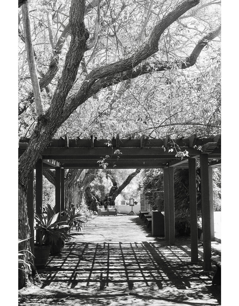 Kentmere Kentmere Pan 200 Black & White Negative Film (120 Roll Film)