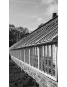 Kentmere Kentmere Pan 200 Black and White Negative Film (35mm Roll Film, 36 Exposures)