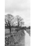 Kentmere Kentmere Pan 200 Black and White Negative Film (35mm Roll Film, 36 Exposures)
