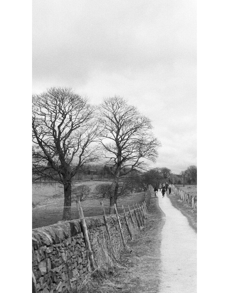 Kentmere Kentmere Pan 200 Black and White Negative Film (35mm Roll Film, 36 Exposures)