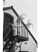 Kentmere Kentmere Pan 200 Black and White Negative Film (35mm Roll Film, 36 Exposures)