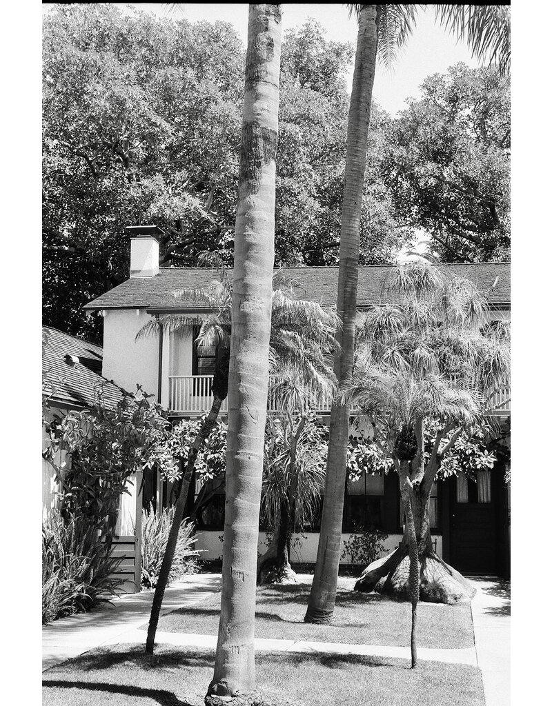 Kentmere Kentmere Pan 200 Black and White Negative Film (35mm Roll Film, 36 Exposures)
