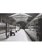 CineMot Film CineMot Coimbra 250D 35mm Film 36 Exposure Black & White