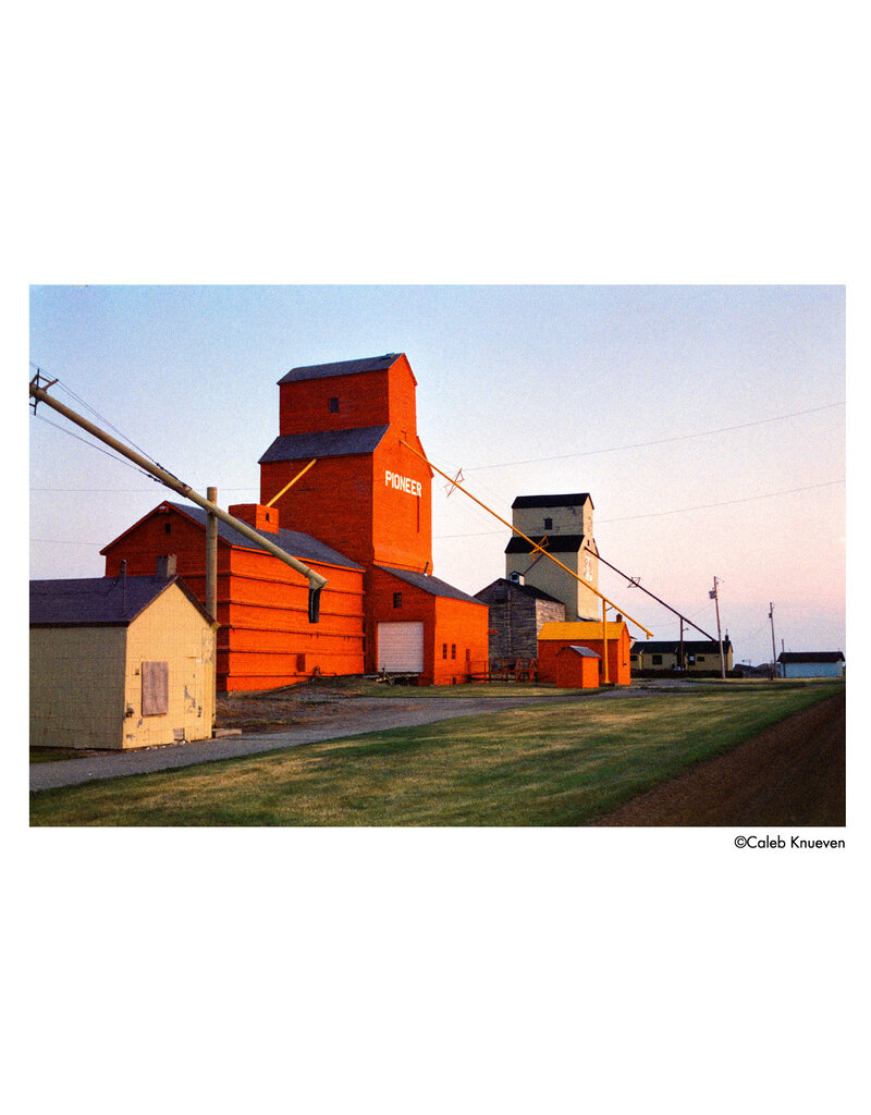 Harman Harman Phoenix II ISO 200 120 Colour Film