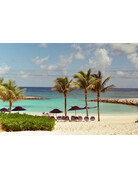 Mr. Negative Mr Negative DayLIGHT Robbery - 35mm Film, 400 ISO, 36 Exposure