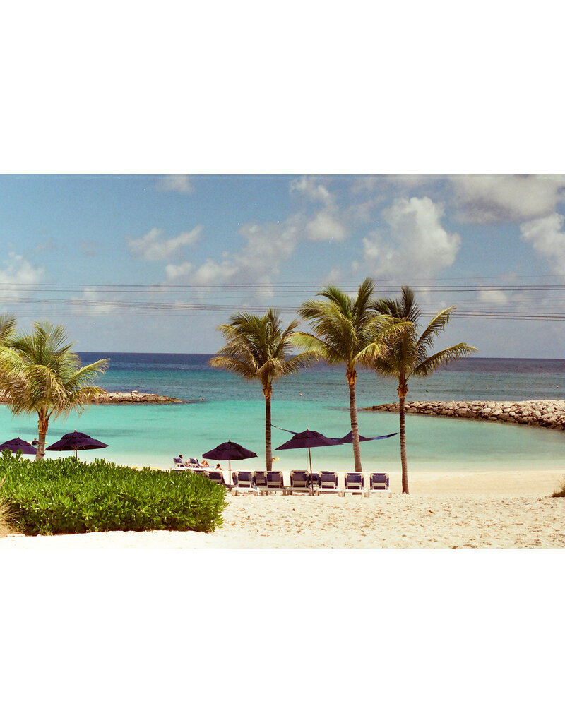 Mr. Negative Mr Negative DayLIGHT Robbery - 35mm Film, 400 ISO, 36 Exposure